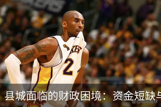 县城面临的财政困境：资金短缺与人力资源不匹配
