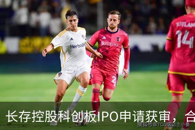 长存控股科创板IPO申请获审，合作与投资情况曝光！